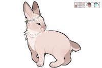 [ Cottontail #148 - Lights ]