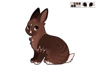 [ Cottontail #149 - Gingerbread ]