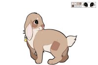 [ Cottontail #150 - Gift Shop ]