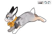 [ Cottontail #154 - Puppy ]