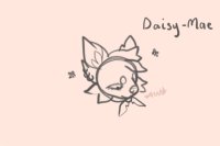 Daisy-Mae