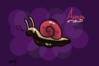 Aurora Snail
