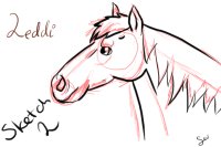 Leddi the Horse Sketch