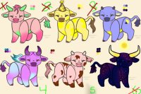 Cow Adopts 2/6 Open
