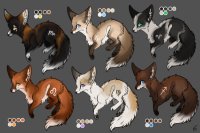Zodiac Fox Adopts (pt. 1)