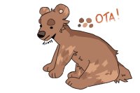 bear adopt ota (open)