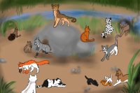 skyclan - guess who is who -WIN PETS