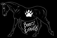 Bears' Entries