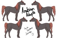Arabian adopts