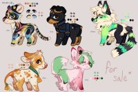 adoptables - 4/5 available <3