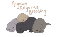 Aegean Angoras Breeding Center
