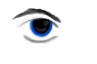seeing eye