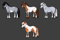 Draft Horse Adopts - 4/4 Available!