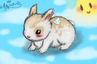 Bunny (OAT)