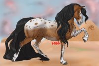 Astarte Arabians Artist Search Entry 1