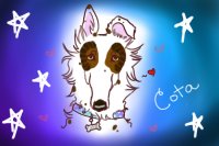 Cota - My Eurasian Wolfhound (#091)