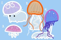 CLOSED FREE Jellyfish Mushrooms