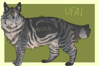 cat adopt | ufa