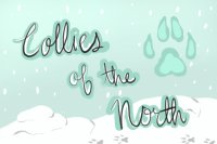 [Collies of the North] Winter Exclusives!
