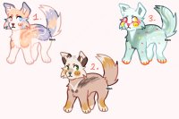 canine adoptables