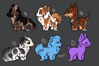 canine adopts hm