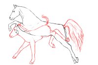 playful foal / wip