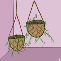 hanging plants editable