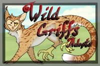 Wild Griffs Adopts! - OPEN!!!