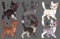 4/6 open pwyw c$ cat adopts