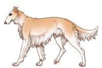 Pyrenean Wolfhound #120