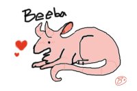Meet Beeba