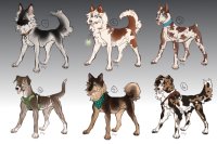 canine adopts [5/6 open]