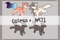 Cosmos x Naji Breeding