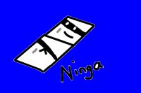 Ninja Fridge!