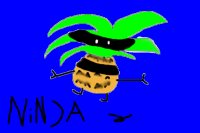 Ninja Pineapple!