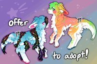 offer to adopts! 2/2 open