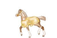 RT #F890 - Foal Reference