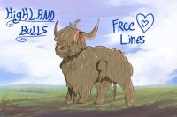 HighLand Bulls - Open Species