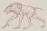 Werewolf Test Sketch