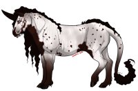 BL 033 - SPOOKY SZN Cherry Bay Appy Mare CLOSED