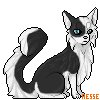 Starclan Guide You - Claimed!
