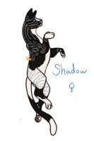 Stretched - Shadow