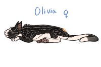 Stretched - Olivia