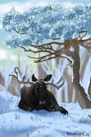 Mooses under the pinetree