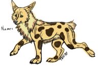 Hyena/Coyote thing :D