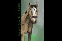 Horse eden quick drawing