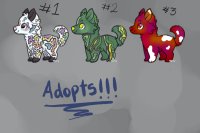10 c$ Doodle Adopts!!!