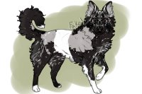 Collie Artist Search | Pup #2
