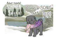 Color a Scarf, Get a Pup | Entry - paradise,