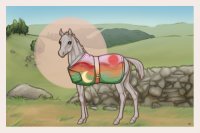Ferox Blanket Pony